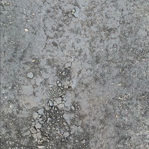 Meet your Posher, Ellie